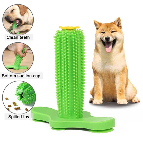 Dogtooth Cleaning Toy - TumTum