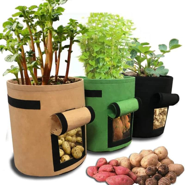 Easy Access Potato Planting Bag - TumTum