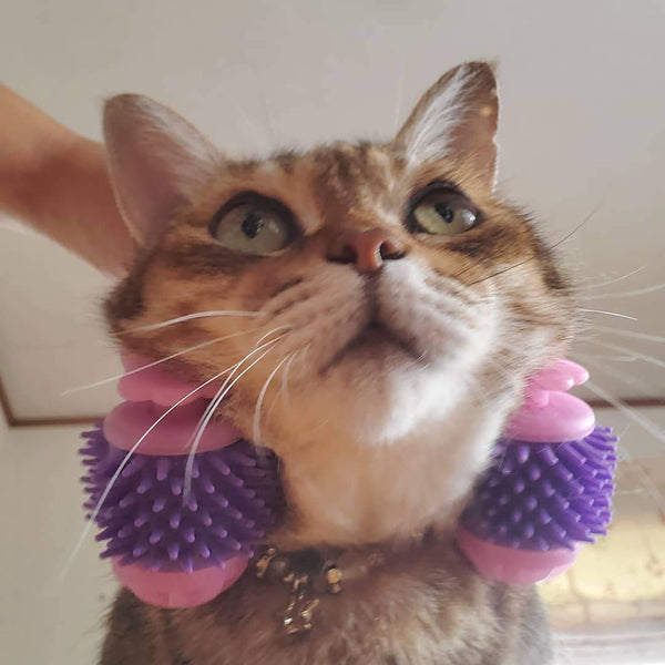 Kitty Tongue Cat Massage Roller | Japan 🇯🇵 #1 Pet Gadget - TumTum